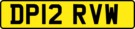 DP12RVW