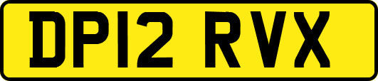 DP12RVX