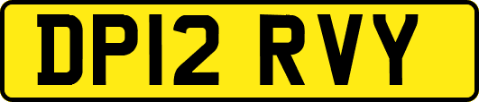 DP12RVY