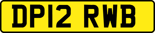 DP12RWB