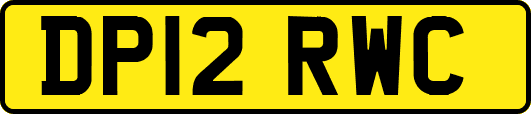 DP12RWC
