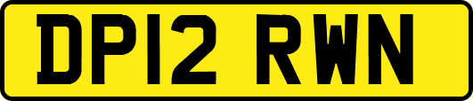 DP12RWN