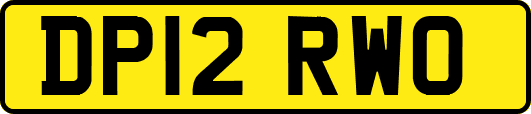 DP12RWO
