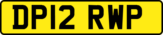 DP12RWP