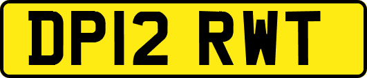 DP12RWT
