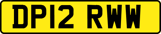 DP12RWW