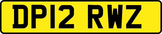 DP12RWZ