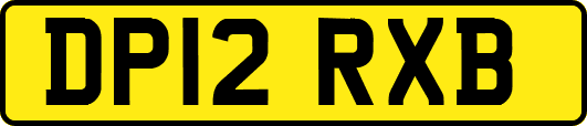DP12RXB