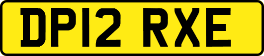 DP12RXE
