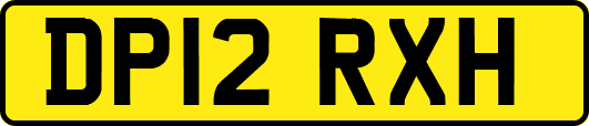 DP12RXH