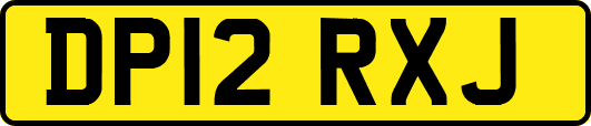DP12RXJ