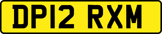 DP12RXM