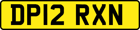 DP12RXN