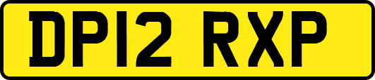 DP12RXP