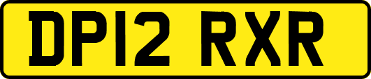 DP12RXR