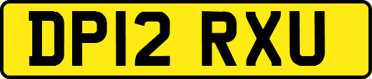 DP12RXU
