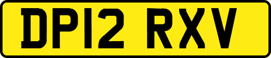 DP12RXV