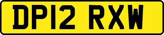 DP12RXW