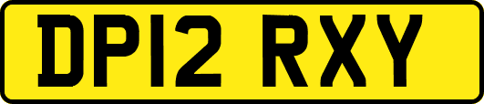 DP12RXY