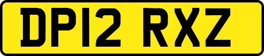DP12RXZ