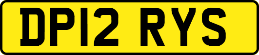 DP12RYS