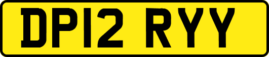 DP12RYY
