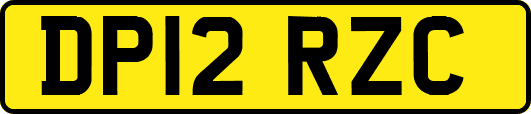 DP12RZC