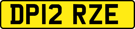 DP12RZE