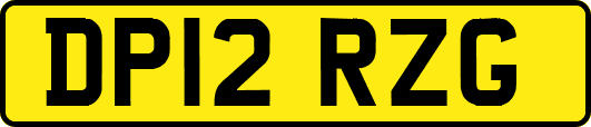 DP12RZG