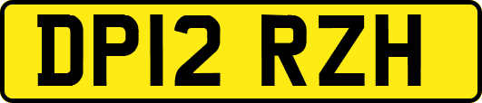DP12RZH