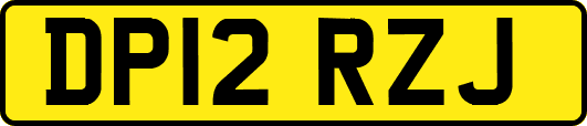 DP12RZJ