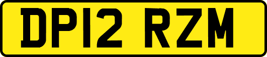 DP12RZM