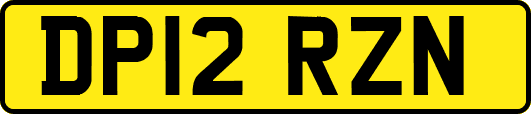 DP12RZN