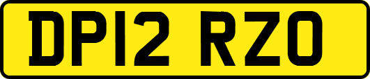 DP12RZO