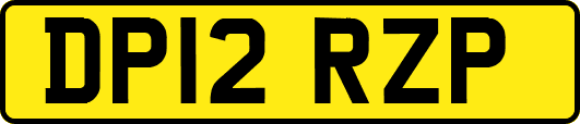 DP12RZP
