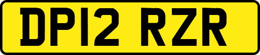 DP12RZR