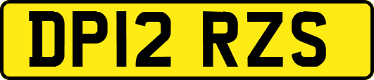 DP12RZS