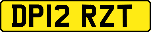 DP12RZT