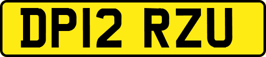 DP12RZU