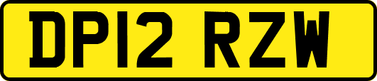 DP12RZW