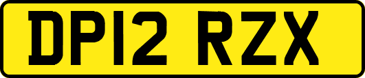 DP12RZX