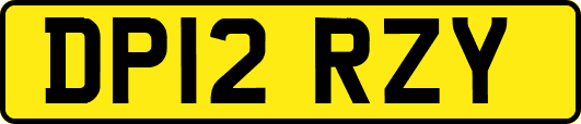 DP12RZY