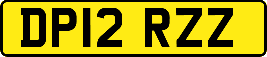 DP12RZZ