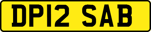DP12SAB