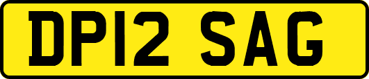 DP12SAG