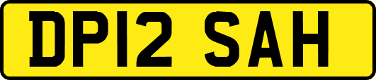 DP12SAH