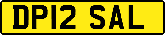 DP12SAL