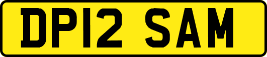 DP12SAM