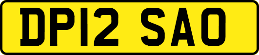 DP12SAO