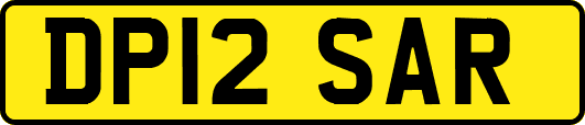 DP12SAR